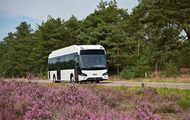 Scenic Tour Bus